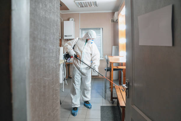 Best Mold Remediation for Vacation Homes  in Santa Moni, CA