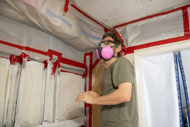 Best Mold Removal for HVAC Installations  in Santa Moni, CA