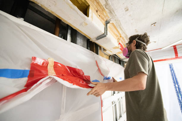 Reliable Santa Monica, CA Mold Removal Solutions