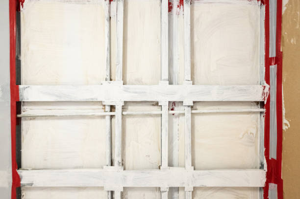 Biohazard Mold Removal in Santa Monica, CA