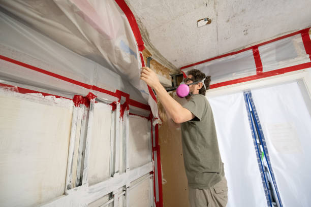 Best Emergency Mold Remediation  in Santa Moni, CA