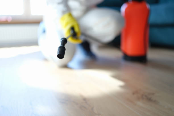 Mold Remediation for Vacation Homes in Santa Monica, CA