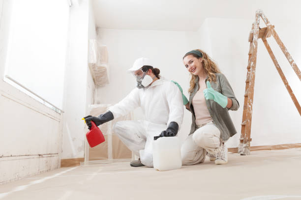 Best Black Mold Removal  in Santa Moni, CA